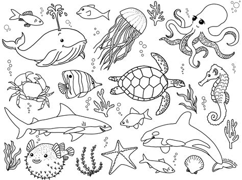 drawing of aquatic animals